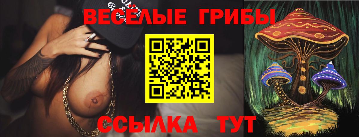 Нальчик  Галлюциногенные грибы GOLDEN TEACHER  Галлюциногенные грибы прущие грибы  Вход с VPN 